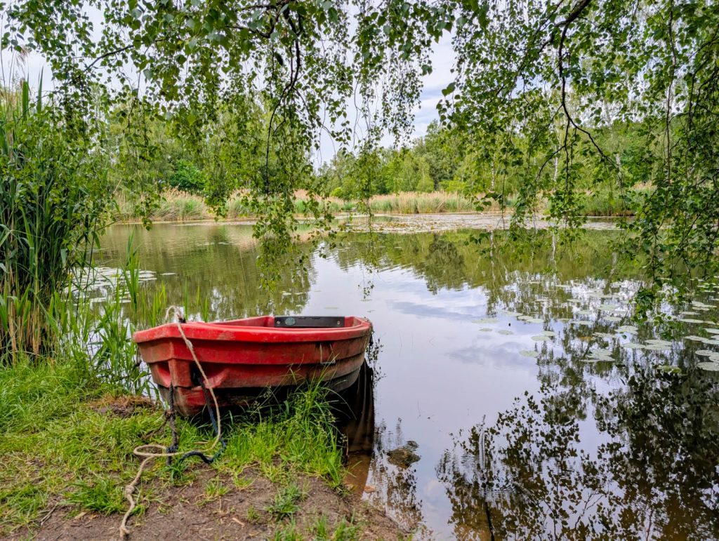Ein rotes Ruderboot liegt ruhig am Ufer eines stillen Sees unter überhängenden Birkenzweigen, Symbolbild für Rückzug und innere Ruhe bei Stress und Burnout