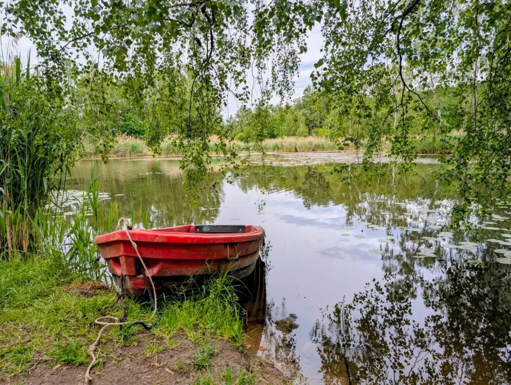 Ein rotes Ruderboot liegt ruhig am Ufer eines stillen Sees unter überhängenden Birkenzweigen, Symbolbild für Rückzug und innere Ruhe bei Stress und Burnout