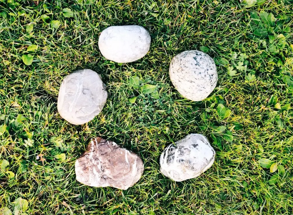 Kreisförmig angeordnete Steine im Freien, Symbolbild für den gemeinsamen Austausch am Übungstag für Hypnose-Anwender